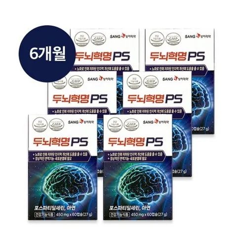 두뇌인지력엔 PS 6개월